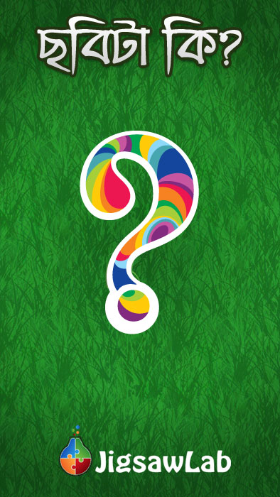 What's the Picture (Bangla)?